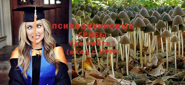 кокаин колумбия Пересвет
