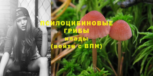 кокаин колумбия Пересвет