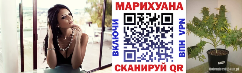 Шишки марихуана Amnesia Кочубеевское